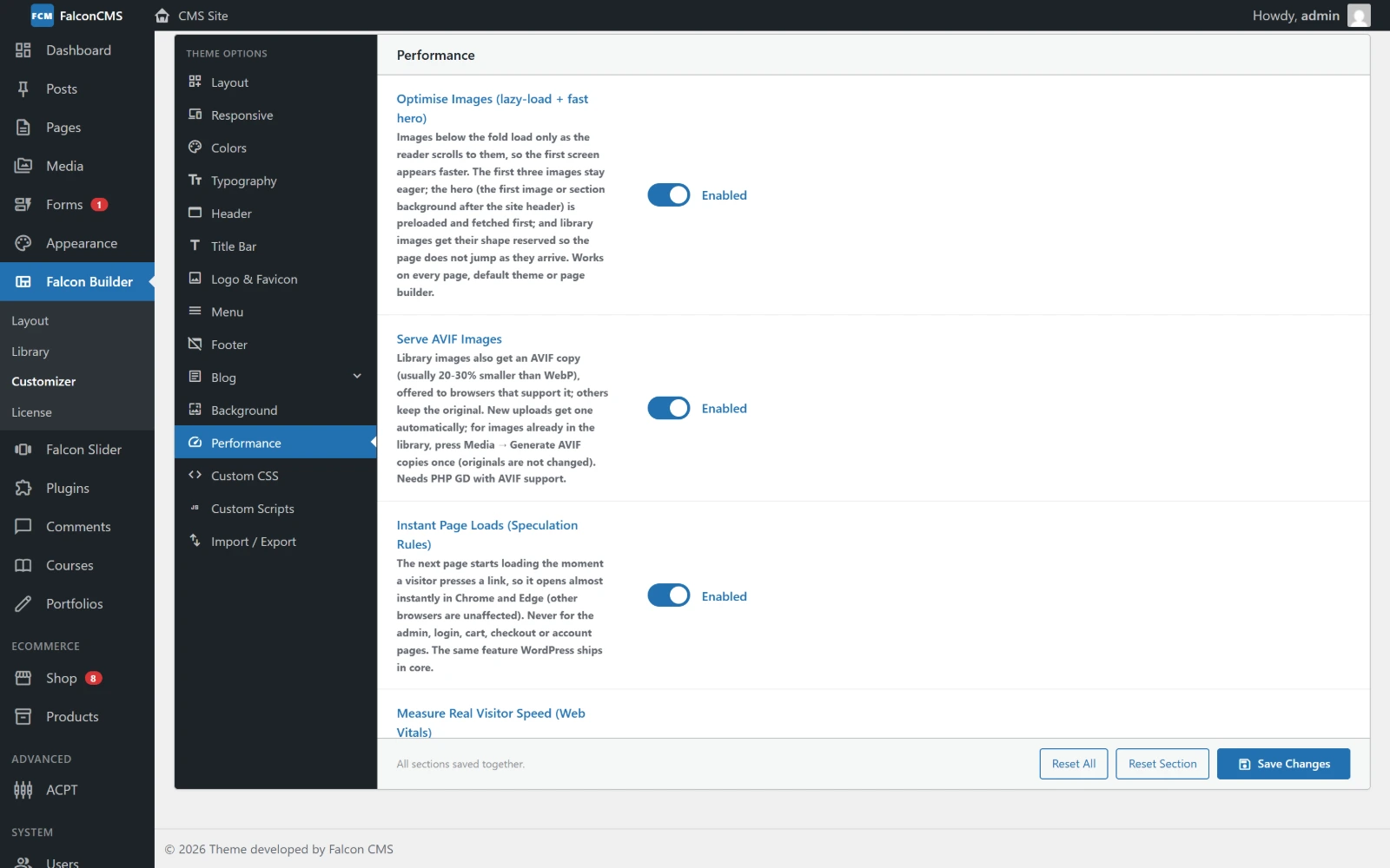 Customizer → Performance
